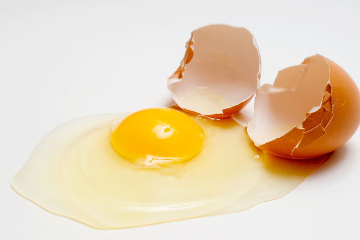 Faire bouillir des coquilles d'œufs dans une casserole :  c'est super intelligent et cela permet d'économiser beaucoup de votre argent !