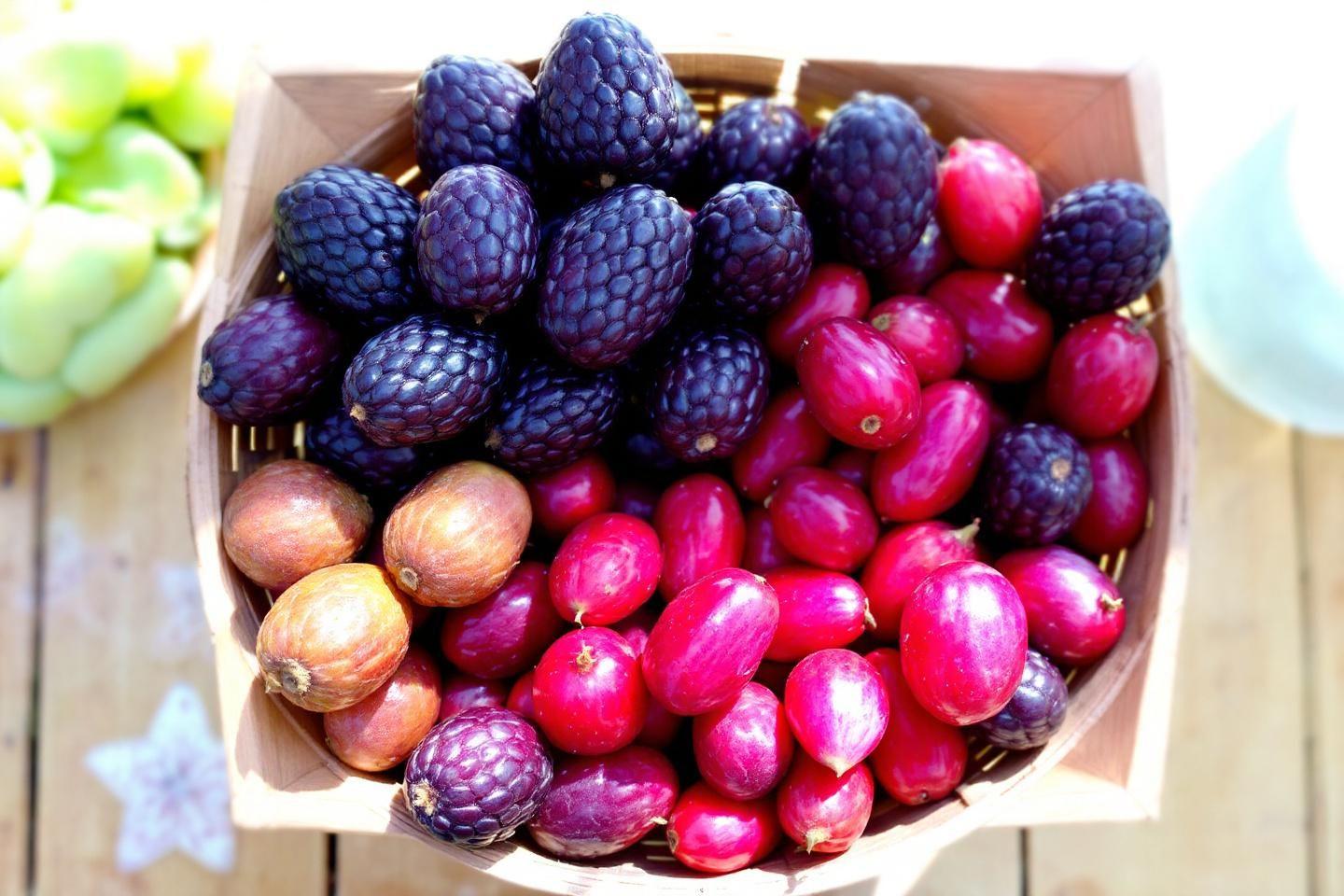 Fruits en u : liste complète des fruits commençant par la lettre u