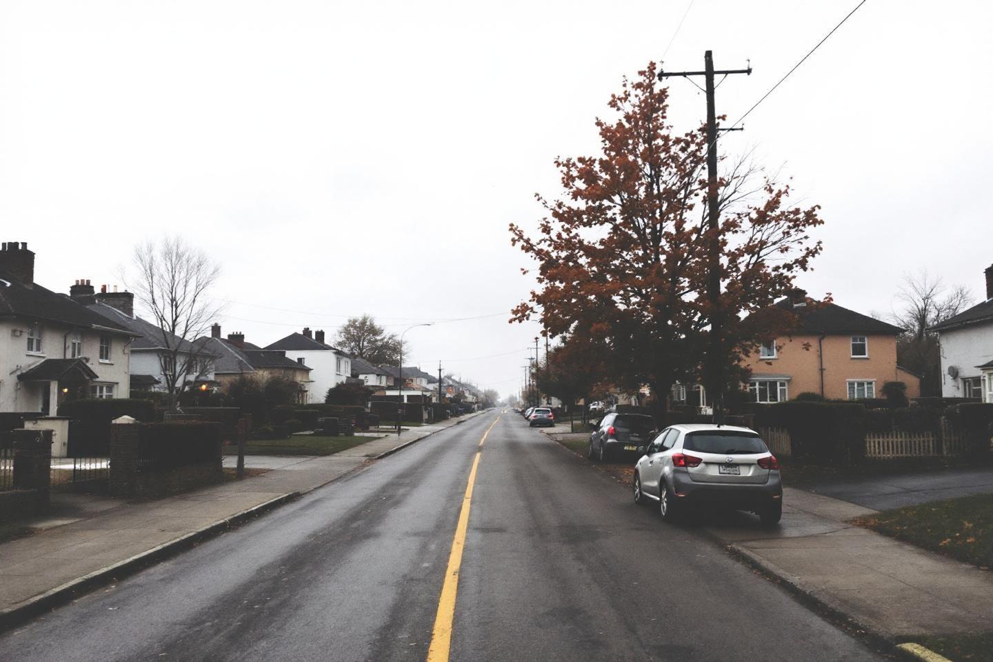 Route suburbaine avec voitures stationn&eacute;es et arbre automnal